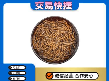 泰安市新泰礼品回收虫草.jpg